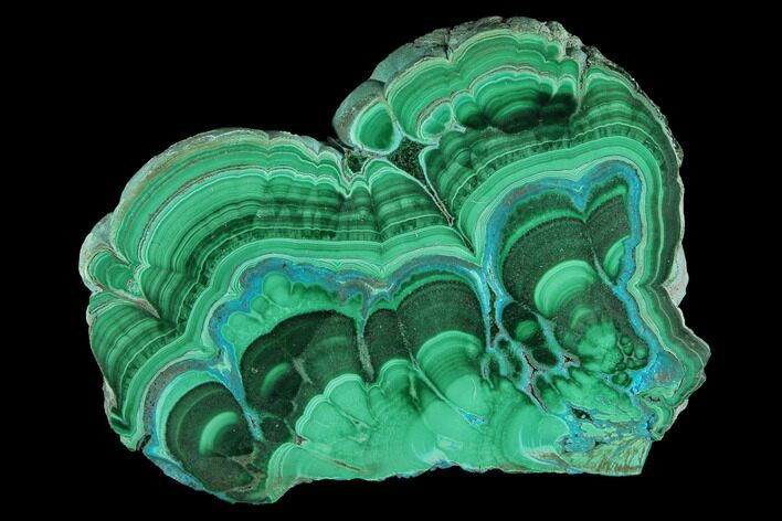 Polished Malachite & Chrysocolla Slab - Congo #94505